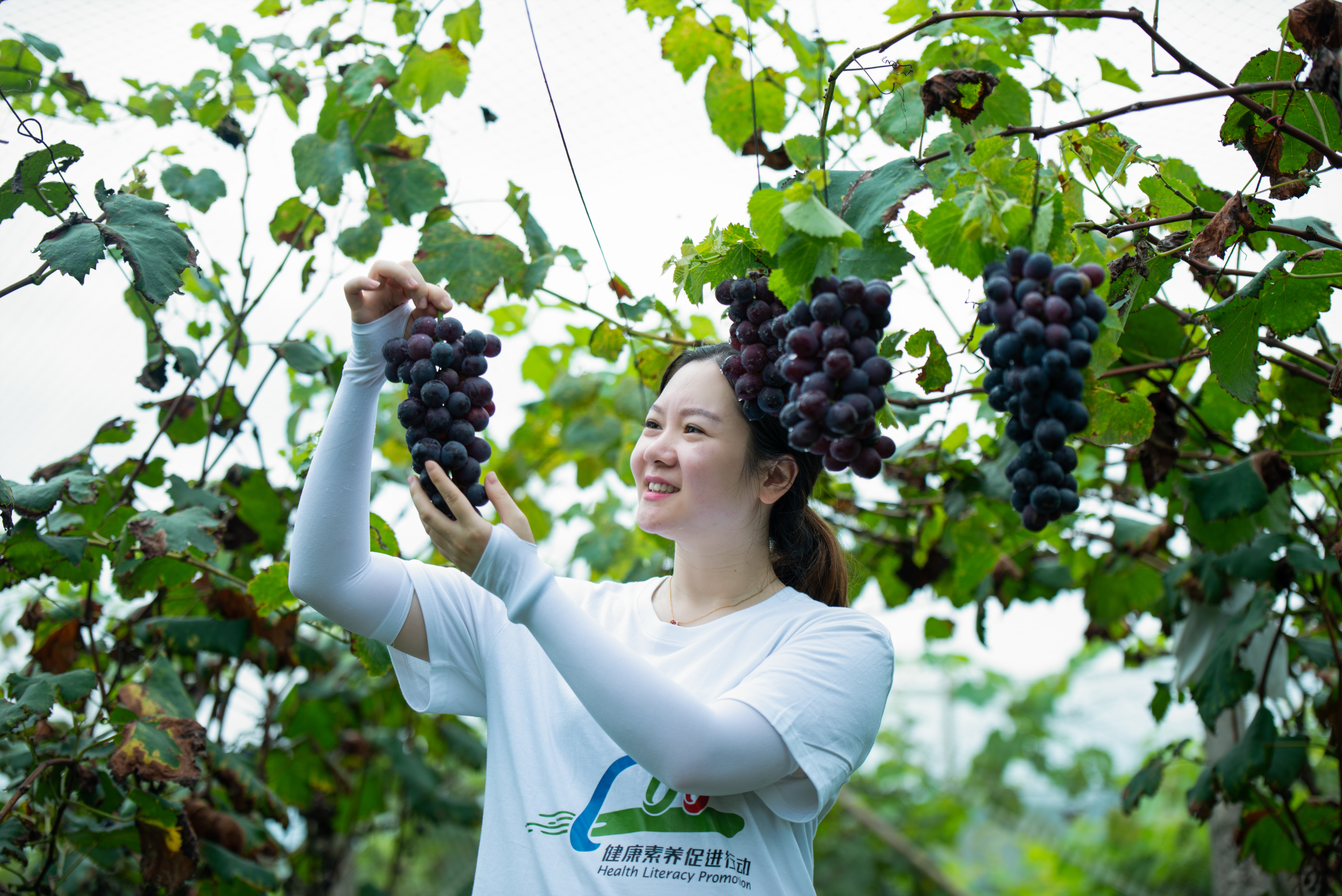 5a38858e13353b321cfa7e94d21f515 - 副本.jpg