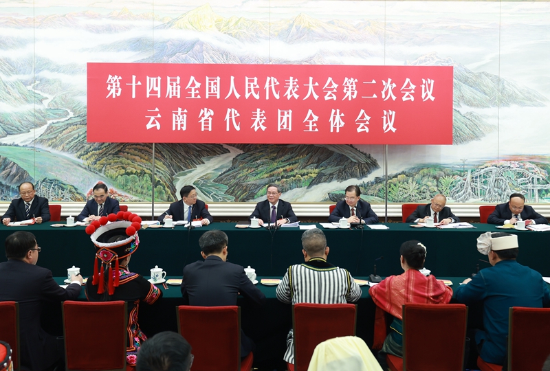 李强参加云南代表团审议.jpg
